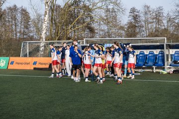Bild 467 - wBJ Hamburger SV - Hertha BSC : Ergebnis: 2:1
